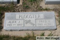 Alice Leaf Plooster