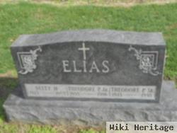 Theodore P Elias, Jr