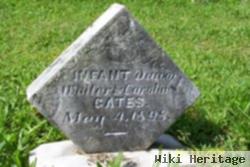 Infant Gates