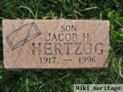 Jacob H Herzog