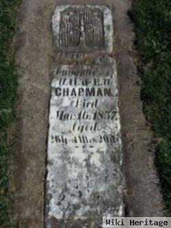 Martha A Chapman