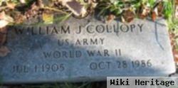 William J Collopy