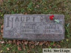 Carrie E. Haupt