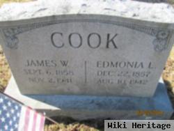 James W. Cook