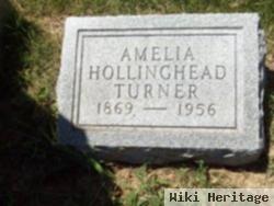 Amelia Hollingsead Turner