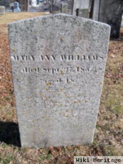 Mary Ann Williams