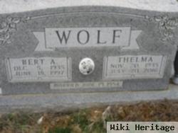 Thelma Ford Wolf