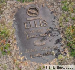 Edward W Ellis