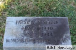 Patsy Ann Setzer