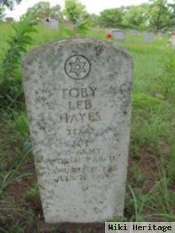 Toby Lee Hayes