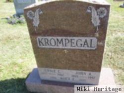 Alice E Krompegal