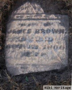 Celia Bourne Brown