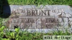 James A Brunt