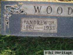 Andrew J Woodard