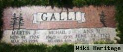 Michael J Galli