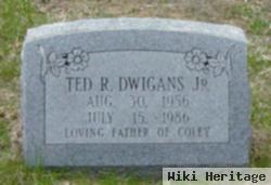 Ted R Dwigans