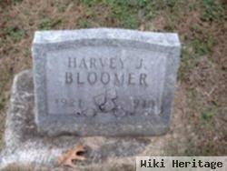 Harvey J Bloomer