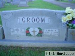 Larry R Groom