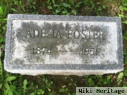 Adelia Hixson Foster