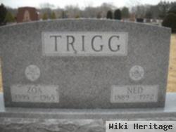 Floyd E. "ned" Trigg