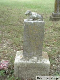 Infant Son Of F. & A. J. Dewitt