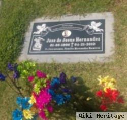 Jose Jesus Hernandez