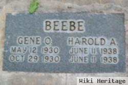 Gene O Beebe