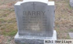 Mary A. Barry