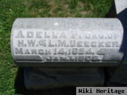 Adelia P Beecker