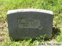 Mary Jane Hayhurst Ice