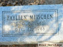 Fayleen Meischen