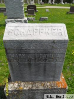 David A Schaffner