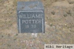 William Edward Potter