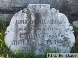 John O'callaghan