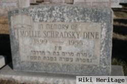 Mollie Schradsky Dine