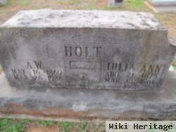 Amos W Holt