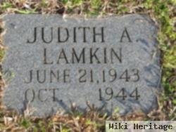Judith Allen Lamkin