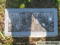 Joyce Allison Holmes