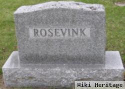 David E Rosevink