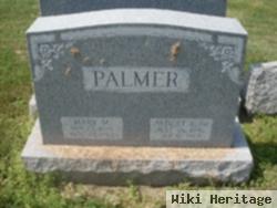 Albert B Palmer, Sr