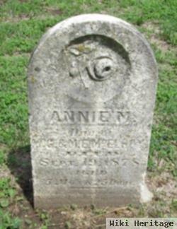 Annie M Mcelroy