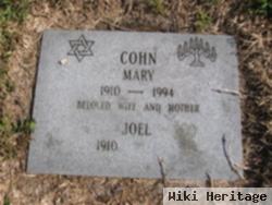 Mary Cohn