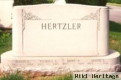 David Levi Hertzler