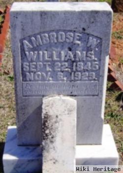 Ambrose W Williams