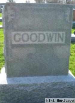 William Henry "will" Goodwin