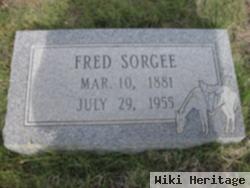 Fred Sorgee