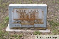 Mellie Lamkin