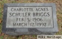 Charlotte Agnes Schuler Briggs