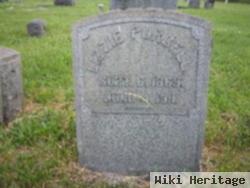 Lizzie Jane Heiney Purcell