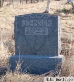 Sarah M. Stewart Johnson